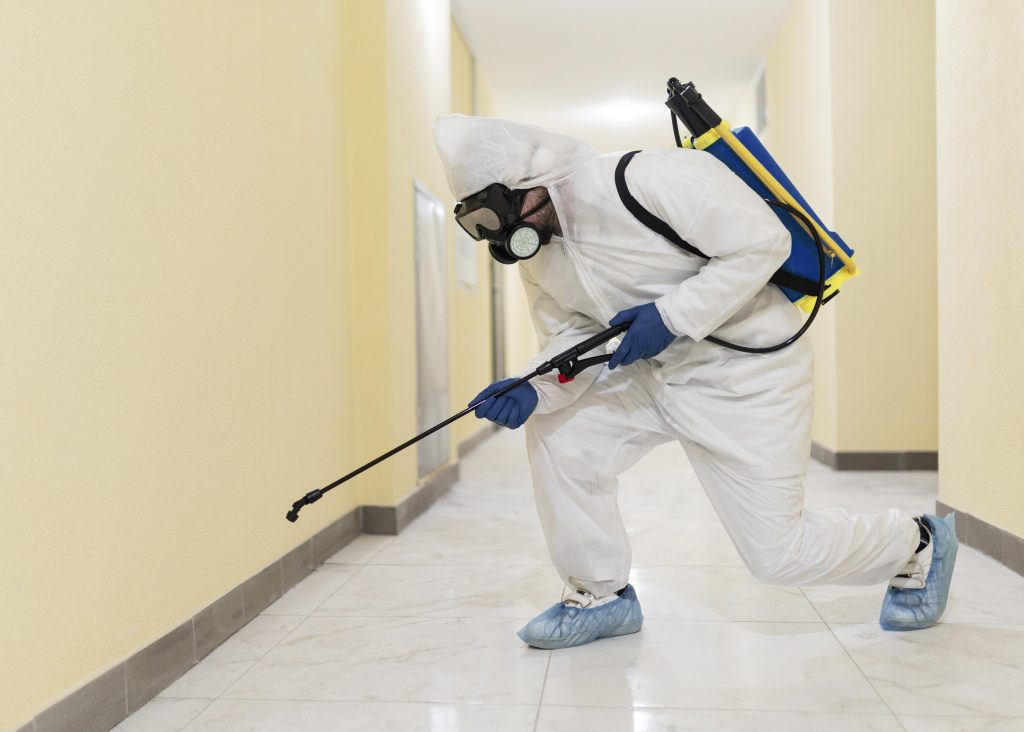 Técnico de Ekoplagas aplicando un tratamiento profesional